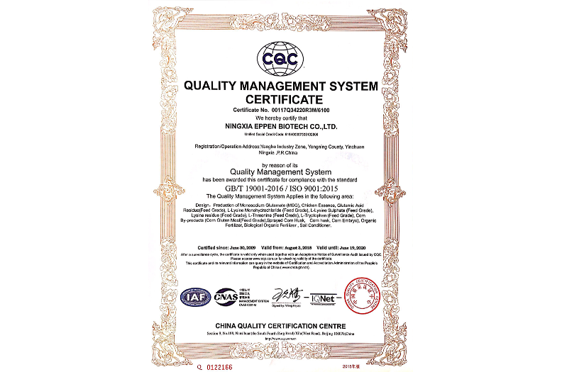 Certificate of Quality Management System Certification