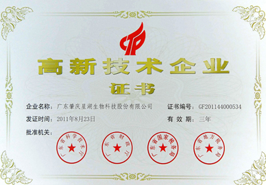 High-tech enterprise