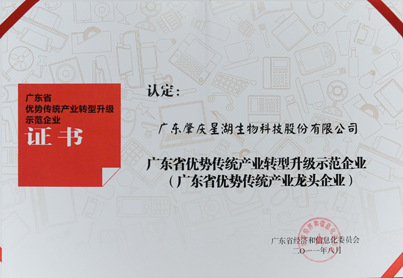 Demonstration enterprise for transformation and upgrading of advantageous traditional industries in Guangdong Province