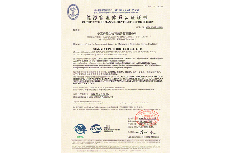 Certification of Energy Management System