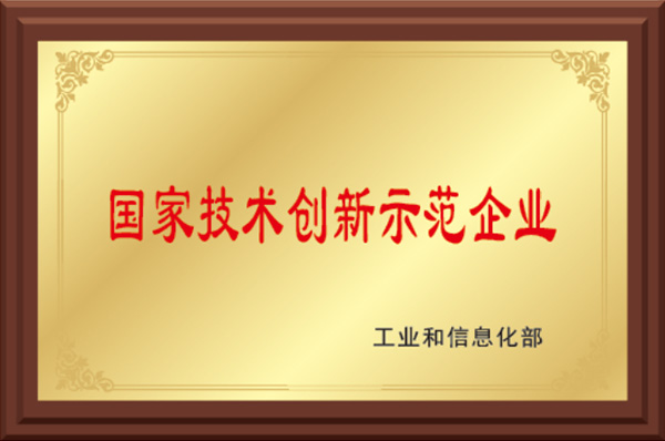 National Technology Innovation Demonstration Enterprise