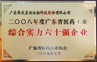 Top 60 enterprises in Guangdong Province based on comprehensive strength