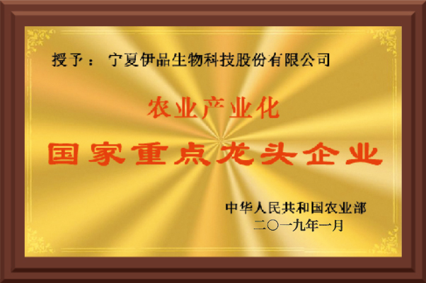 National Key Leading Enterprises