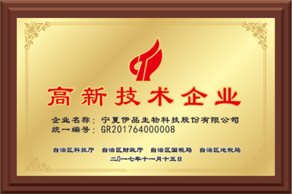 New High - Tech Enterprise