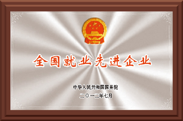 National Advanced Employment Enterprises