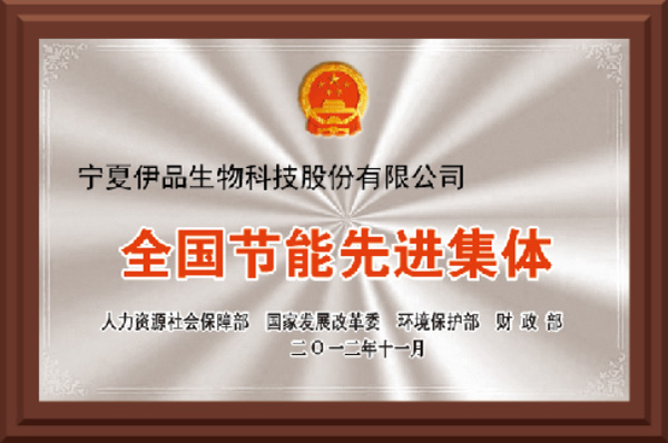 National Advanced Enterprise for Energy Conservation